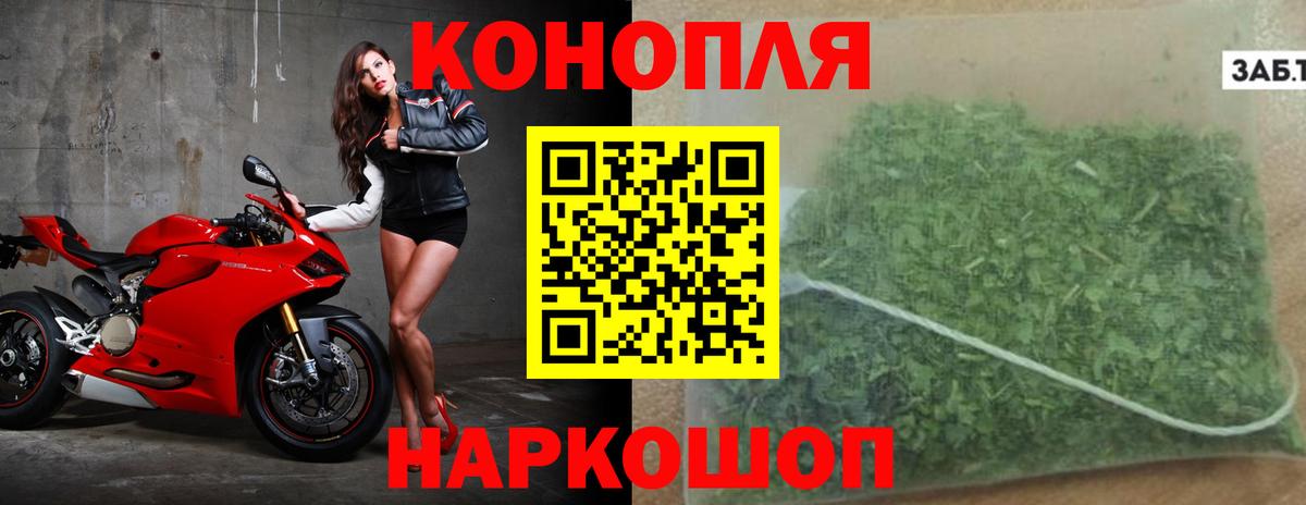 Бошки Шишки тримм Благодарный